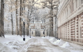 Winter in Zarizyno / ***
