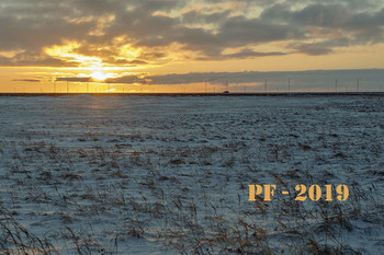 PF-2019 / ***