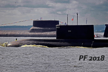 PF-2019 / ***