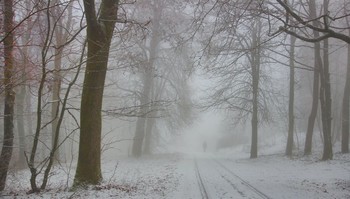 Verschwinden im Nebel / ***