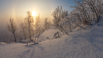 Wintersonne / ***