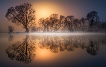 Goldener Morgen / Morgens an einen kleinen Teich in der Steiermark.