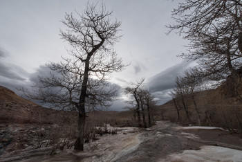 Frühling in der Altai / ***