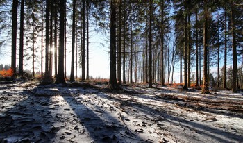 Aufstieg / ***