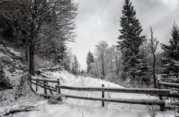 Dorfzaun / ***