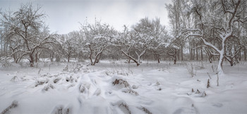 Wintergarten / ***