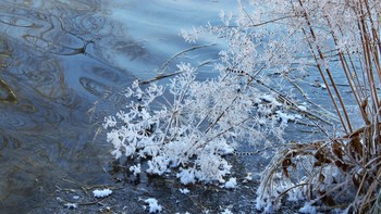 Winter-Spitze / ***