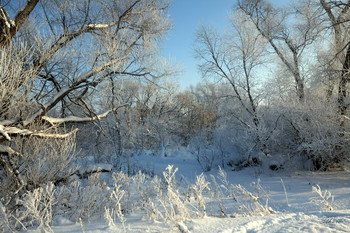 Winter / ***