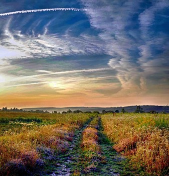 Summer Morning .. / ***