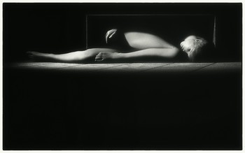 Fliegen / 2011