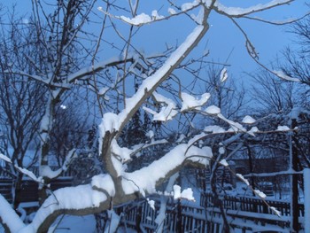 Februar-Morgen / ...