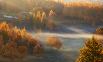 Herbst Morgendämmerung / ***