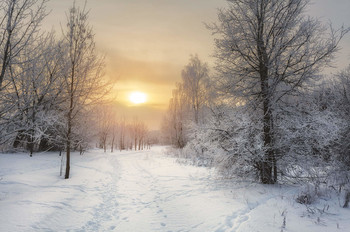 Wintersonne / ***