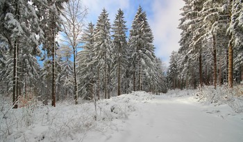 Die ersten Sonnenstrahl / ***