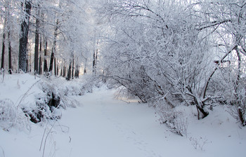 Vor Weihnachten ... / ***