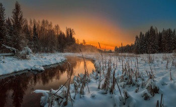 Januarabend / ***
