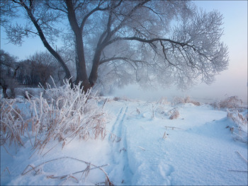 frostig Wanderwege / .............