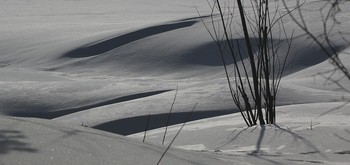 Schwarz und weiß / ***