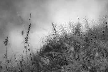 Schwarz und weiß / ***