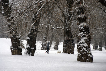 Winterwanderung / ***