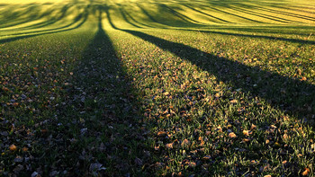 Alte Allee / ***