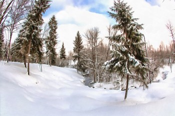 Winterwald / ***