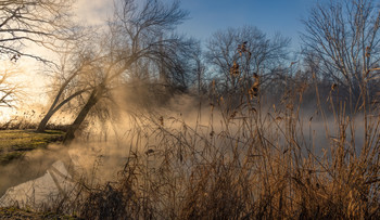 Nebliger Morgen / ***