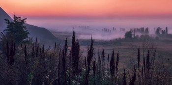 Dort, hinter dem Nebel ... / http://www.youtube.com/watch?v=-sWnEWpS_fA