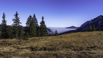 November im Alpstein / ***