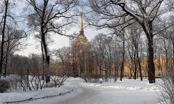 Winter / ***