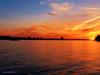 Golden Sunset / ***