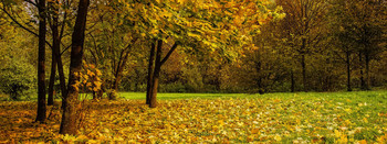 Herbst / ***