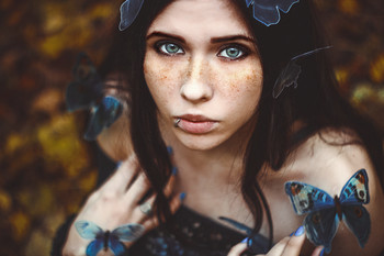 Schmetterlinge / www.taylorphoto.ru