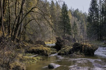 Im Sihltal / ...