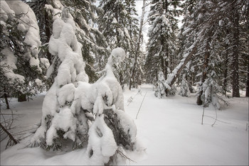 Winterschlaf / ***