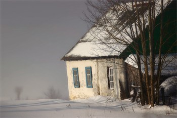  / 2010