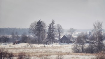  / 2010