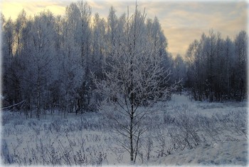 Winterabend. / ***