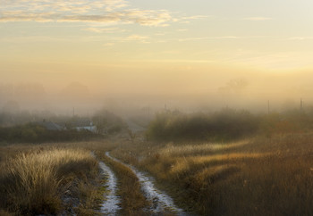 Straße im Nebel / ***