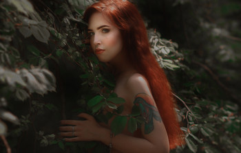 Elen / ...