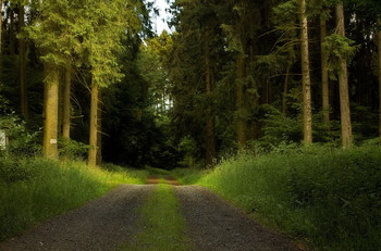 Spiel / ***