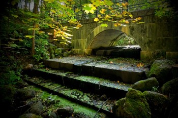 Im alten Park / ***