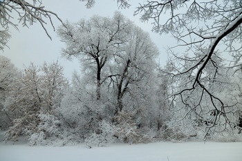 Nach Schneefall / ***