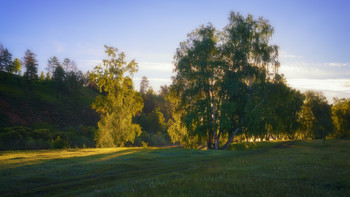 Gnade / ***