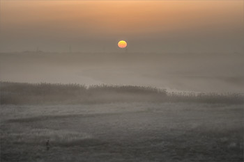 Im Gespräch mit der Sonne / ***