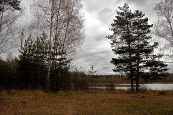 Herbst auf dem See / ***