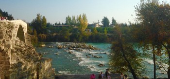 The River / ***