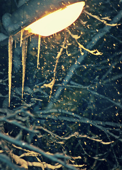  / lantern, icicles