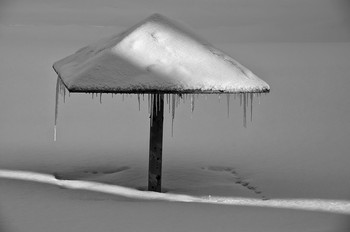Und in unserem Hof ... / ***