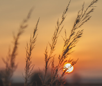 Sonnenuntergang / ***